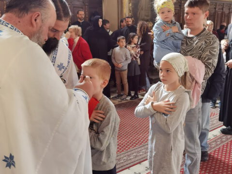 IMG_20231105_102639_resize