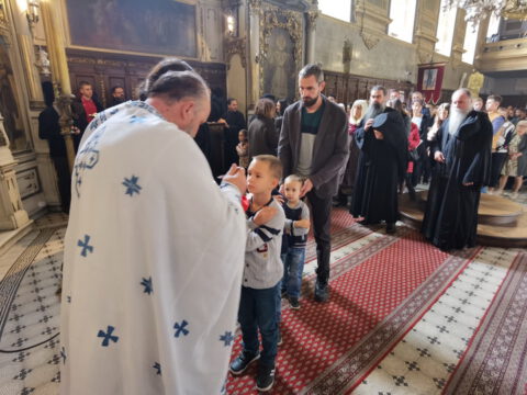 IMG_20231105_102708_resize