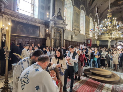 IMG_20231105_102740_resize