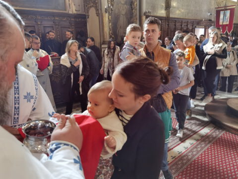 IMG_20231105_102831_resize