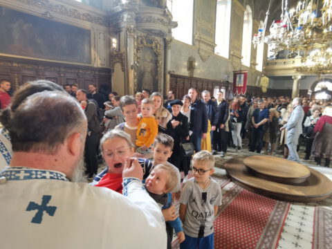 IMG_20231105_102909_resize