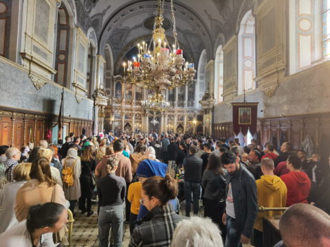 IMG_20231105_103033_resize