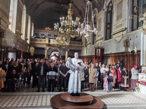 IMG_20231105_103615_resize