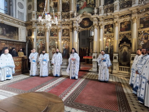 IMG_20231105_103742_resize