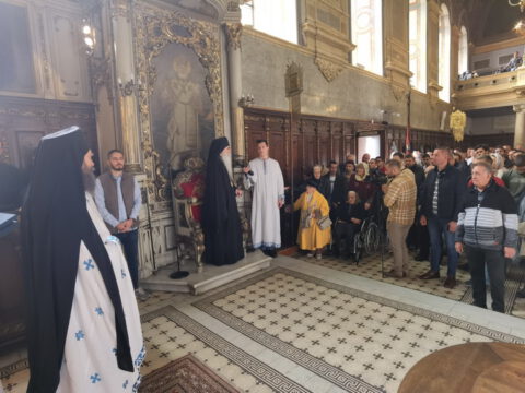 IMG_20231105_104217_resize