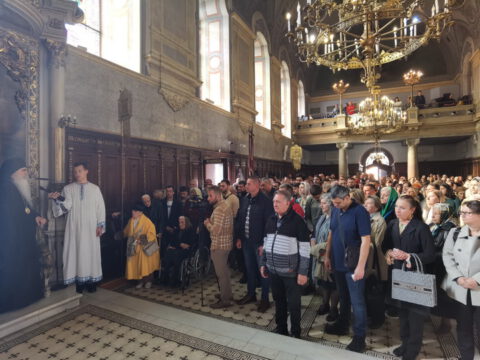 IMG_20231105_104225_resize