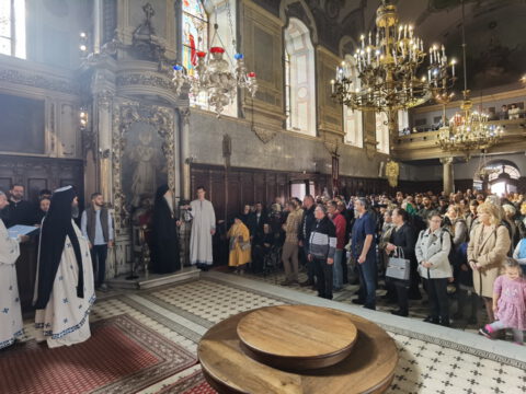 IMG_20231105_104236_resize