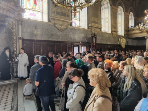 IMG_20231105_104642_resize