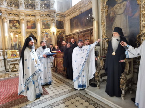 IMG_20231105_105308_resize