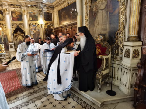 IMG_20231105_105620_resize