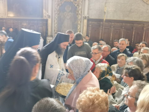 IMG_20231105_110235_resize