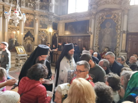 IMG_20231105_110245_resize