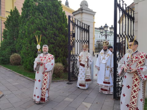 IMG_20231108_085545_resize