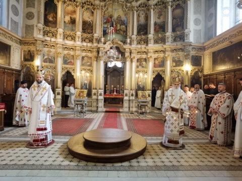 IMG_20231108_085924_resize