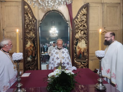 IMG_20231108_090844_resize_resize