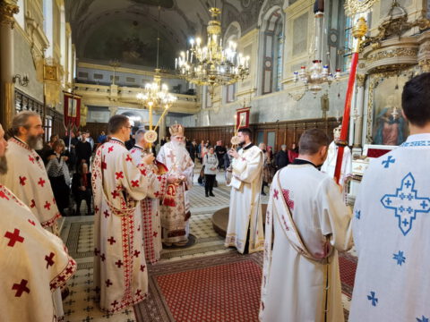 IMG_20231108_090914_resize