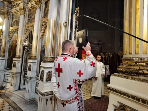 IMG_20231108_090944_resize