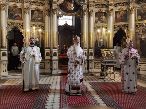 IMG_20231108_091330_resize