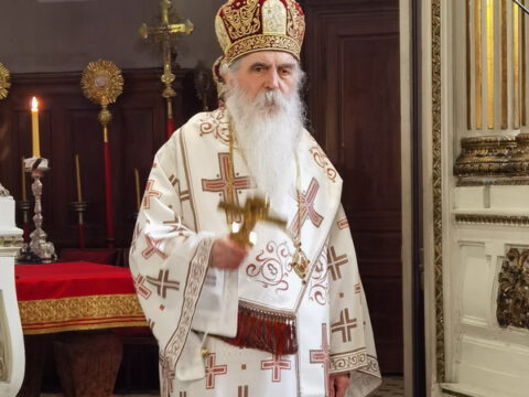 IMG_20231108_091632_resize