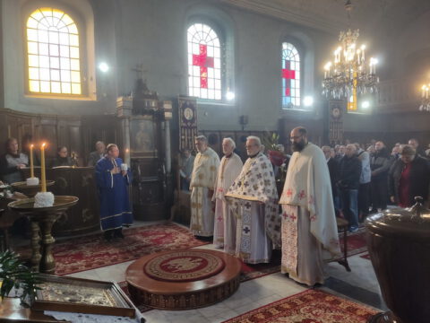 IMG_20231108_091901_resize_resize