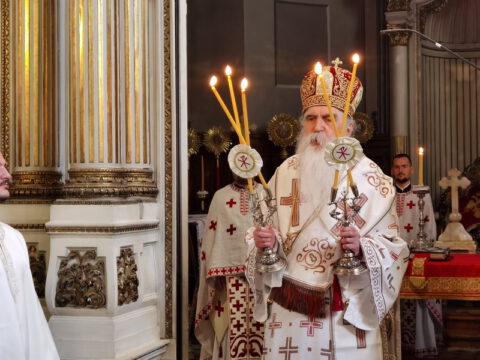 IMG_20231108_092302_resize