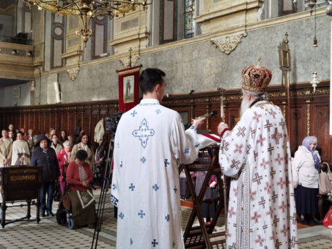 IMG_20231108_093712_resize