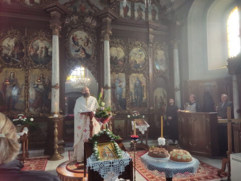 IMG_20231108_093726_resize_resize