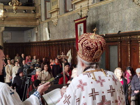 IMG_20231108_093728_resize