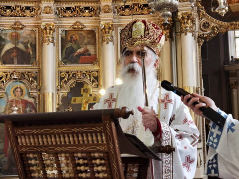 IMG_20231108_093805_resize