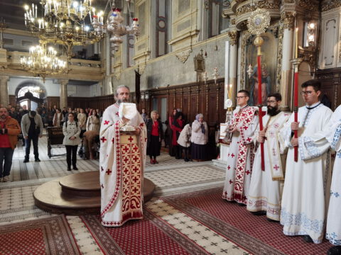 IMG_20231108_100907_resize