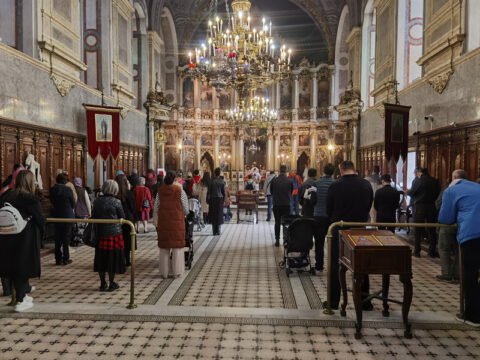 IMG_20231108_101134_resize