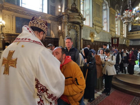 IMG_20231108_105244_resize