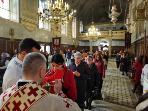 IMG_20231108_105302_resize