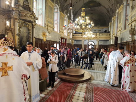 IMG_20231108_105327_resize