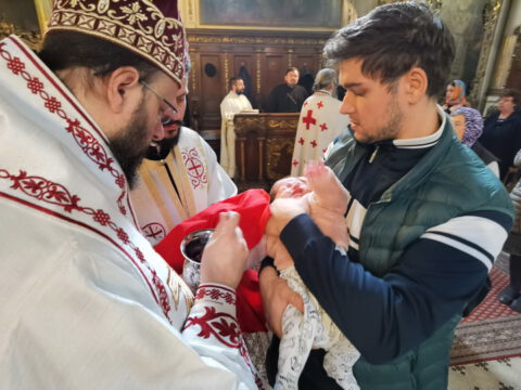 IMG_20231108_105421_resize