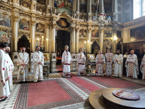 IMG_20231108_110114_resize