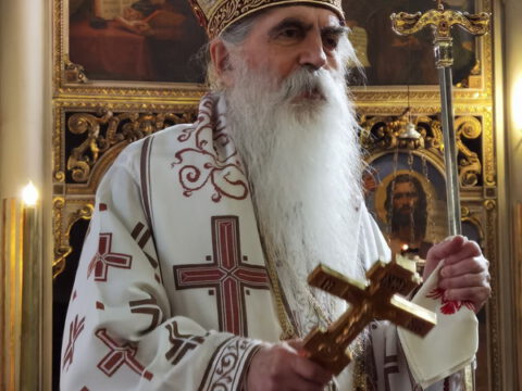 IMG_20231108_110213_resize