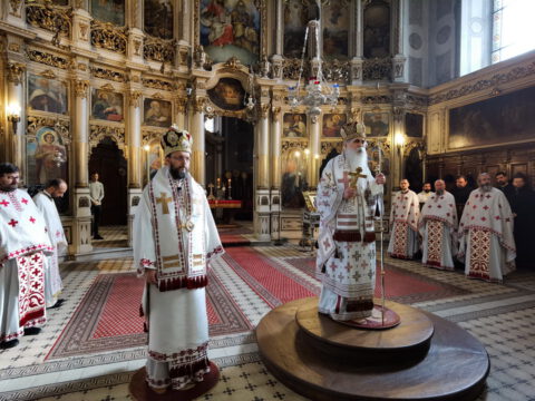 IMG_20231108_110243_resize