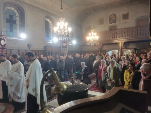 IMG_20231108_171741_resize_resize