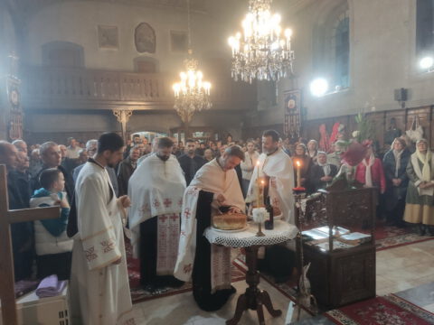 IMG_20231108_173534_resize_resize