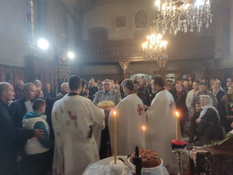 IMG_20231108_173552_resize_resize