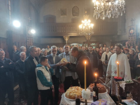 IMG_20231108_175009_resize_resize