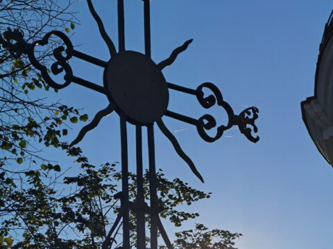 IMG_20231109_084716_resize