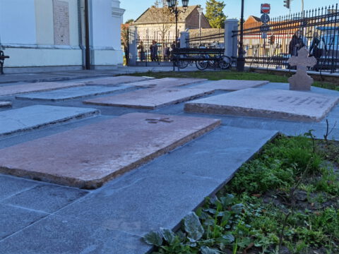 IMG_20231109_084740_resize