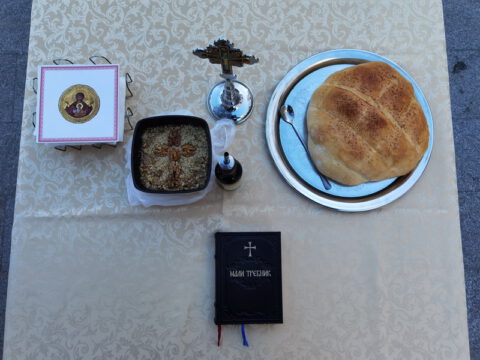 IMG_20231109_085750_resize