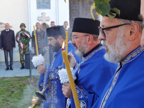 IMG_20231109_090009_resize