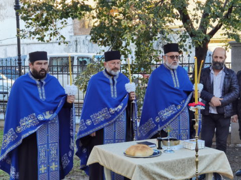 IMG_20231109_090144_resize