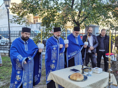 IMG_20231109_090351_resize