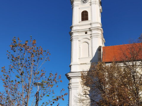 IMG_20231109_092309_resize