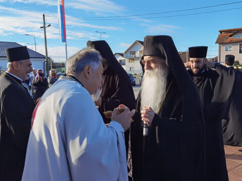 IMG_20231112_085617_resize